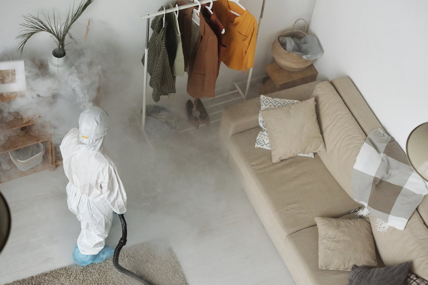 Mold remediation