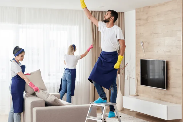 Whole-home cleanup